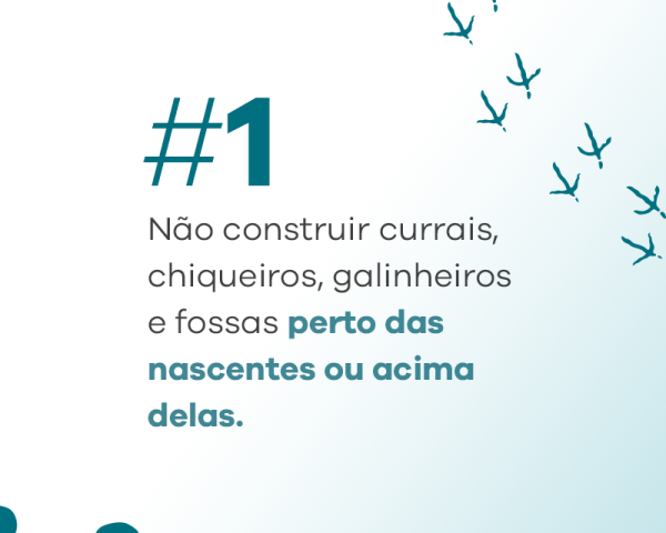 CEMIG_consciencia-nascente-rio_carrossel-02