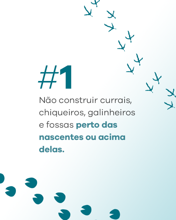 CEMIG_consciencia-nascente-rio_carrossel-02