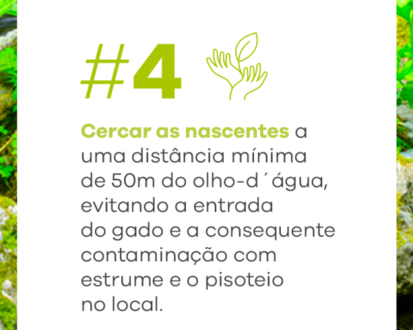 CEMIG_consciencia-nascente-rio_carrossel-05