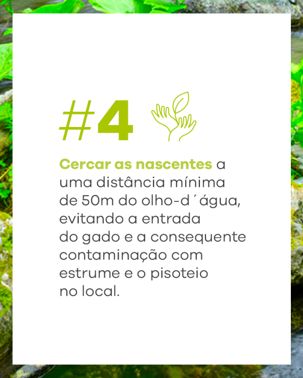 CEMIG_consciencia-nascente-rio_carrossel-05